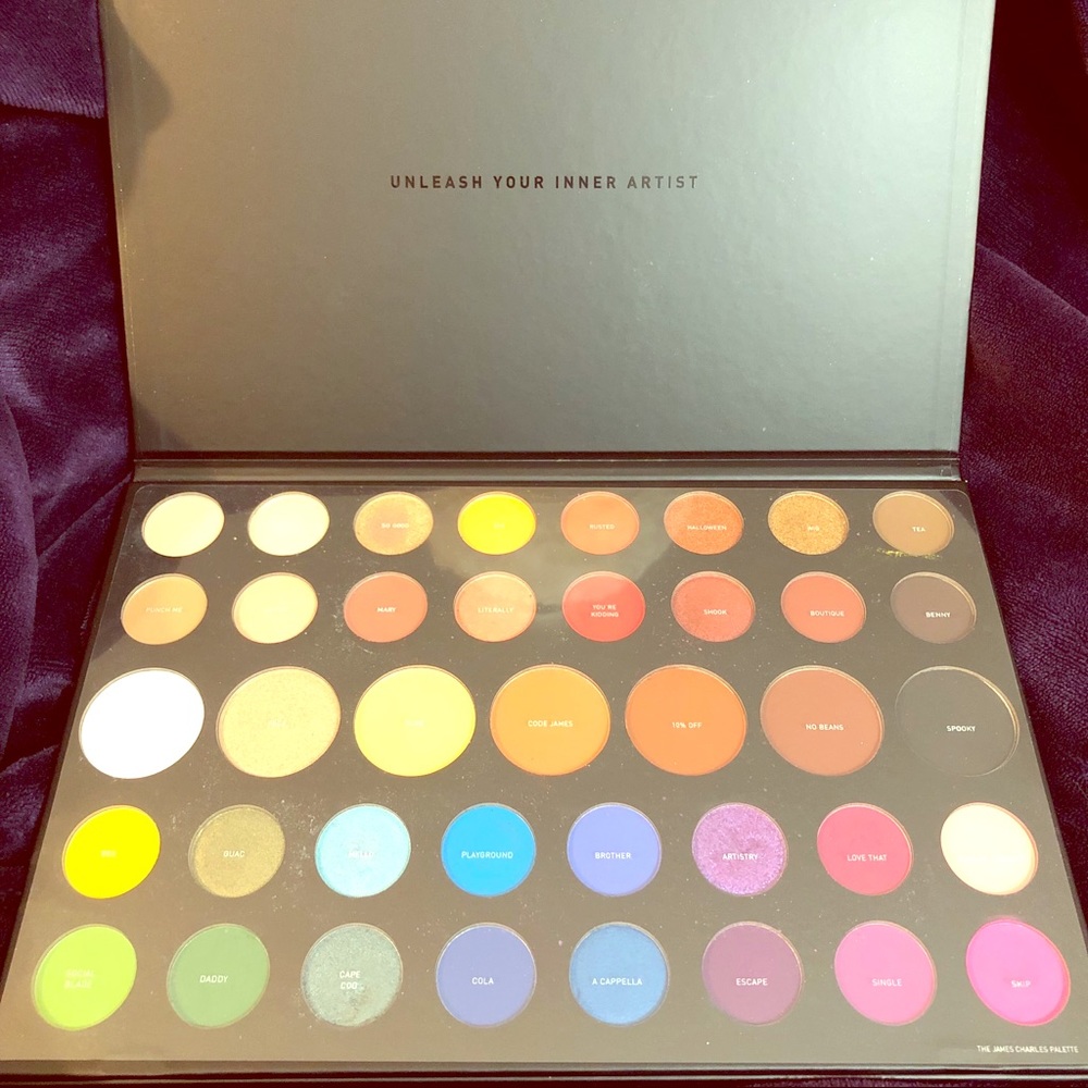 Gently used James Charles palette (used twice)